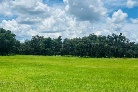 Terreno en venta en Bushnell, Florida № 1806646 - foto 1