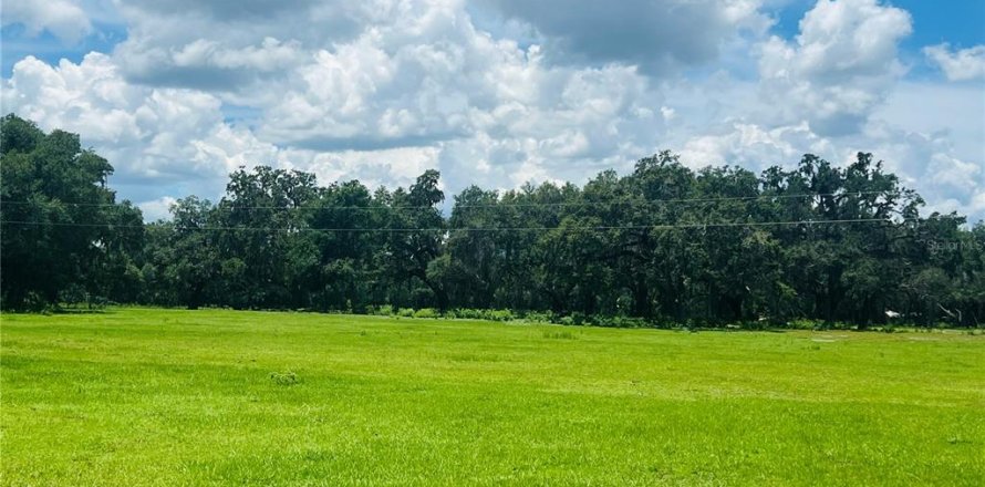 Terreno en Bushnell, Florida № 1806646