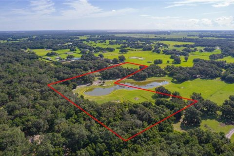 Terreno en venta en Bushnell, Florida № 1806646 - foto 23