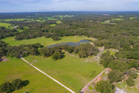 Terreno en venta en Bushnell, Florida № 1806646 - foto 12