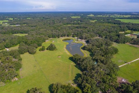 Terreno en venta en Bushnell, Florida № 1806646 - foto 3