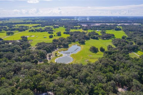 Terreno en venta en Bushnell, Florida № 1806646 - foto 7
