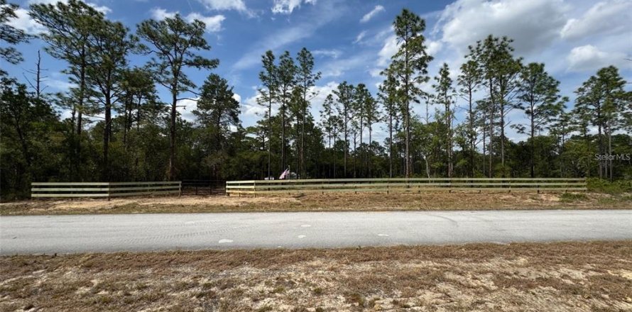 Terrain à Dunnellon, Floride № 2211021