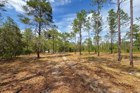 Terrain à vendre à Dunnellon, Floride № 2211021 - photo 6