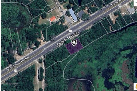 Land in Inverness, Florida № 2213359