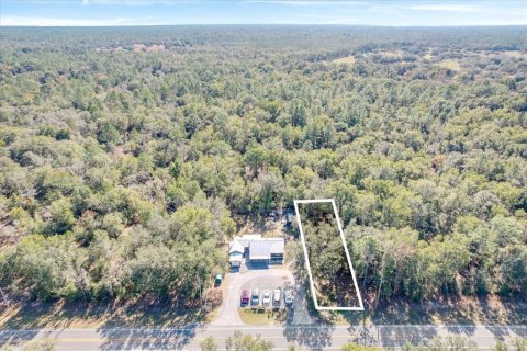 Land in Dunnellon, Florida № 2162723