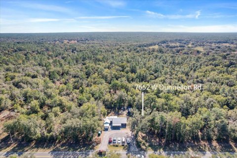 Land in Dunnellon, Florida № 2162723 - photo 2