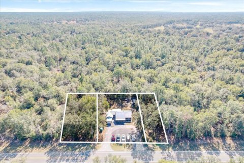 Land in Dunnellon, Florida № 2162723 - photo 8