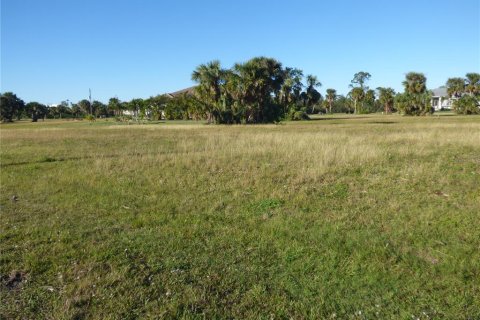 Land in Punta Gorda, Florida № 262321 - photo 5