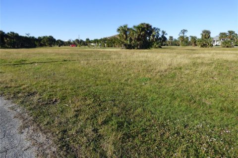 Land in Punta Gorda, Florida № 262321 - photo 3