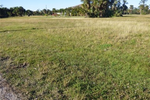 Land in Punta Gorda, Florida № 262321 - photo 4