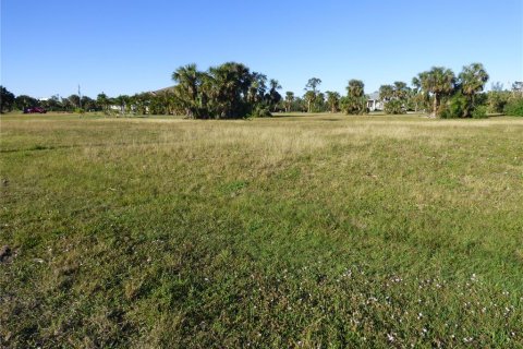 Land in Punta Gorda, Florida № 262321 - photo 2