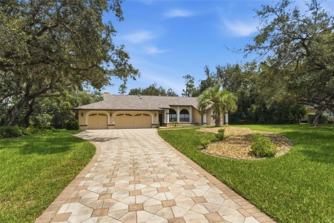 Villa ou maison à vendre à Weeki Wachee, Floride: 3 chambres, 233 m2 № 2267411 - photo 4