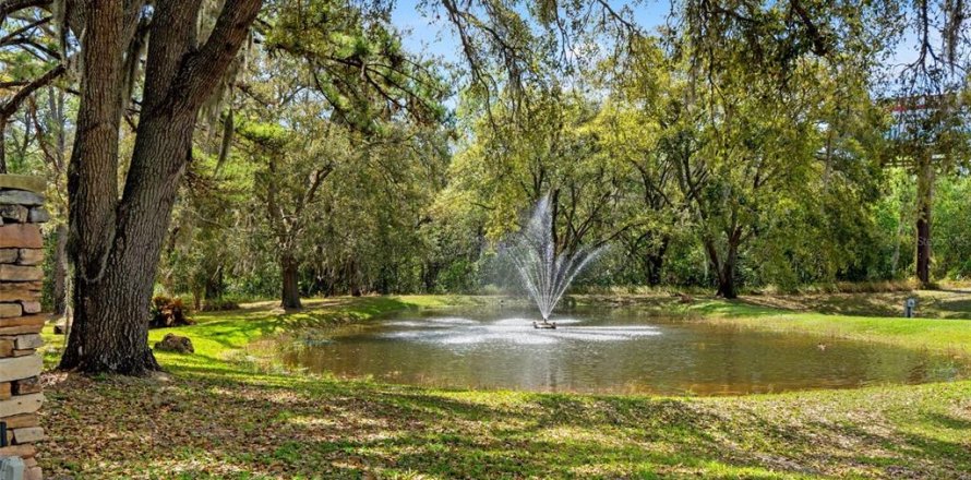 Villa ou maison à Weeki Wachee, Floride 3 chambres, 233 m2 № 2267411