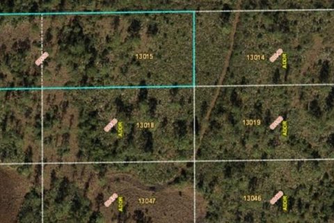 Land in Orlando, Florida № 1380648 - photo 2