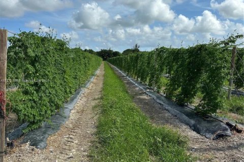 Commercial property in Homestead, Florida № 1938044 - photo 2