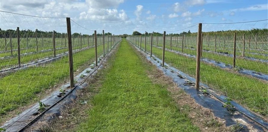 Immobilier commercial à Homestead, Floride № 1938044