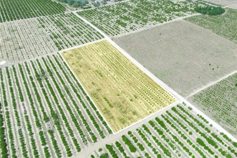 Купить земельный участок в Лейк-Уэльс, Флорида № 1673542 - фото 6