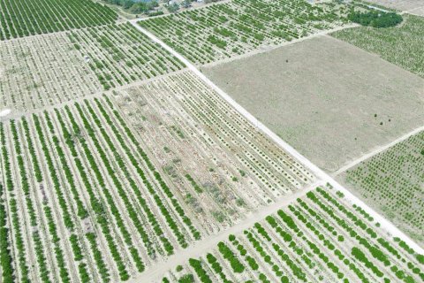 Купить земельный участок в Лейк-Уэльс, Флорида № 1673542 - фото 12