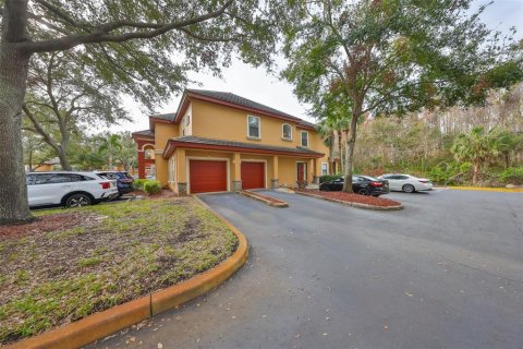 Condo in Palm Harbor, Florida, 4 bedrooms  № 1557278 - photo 1