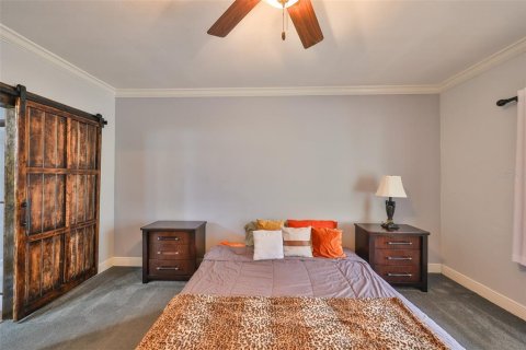 Condo in Palm Harbor, Florida, 4 bedrooms  № 1557278 - photo 13