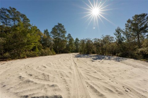 Land in Pierson, Florida № 2166496 - photo 10