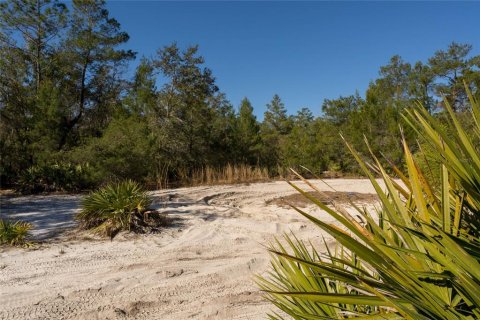 Land in Pierson, Florida № 2166496 - photo 13