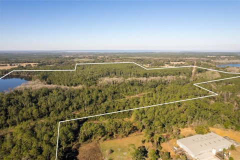Land in Pierson, Florida № 2166496 - photo 6
