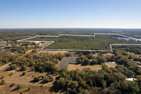 Land in Pierson, Florida № 2166496 - photo 5