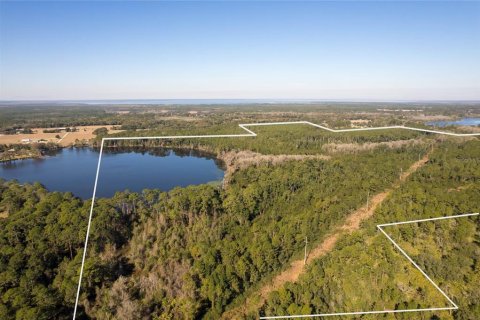 Land in Pierson, Florida № 2166496 - photo 7