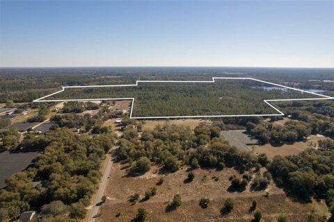 Land in Pierson, Florida № 2166496 - photo 4