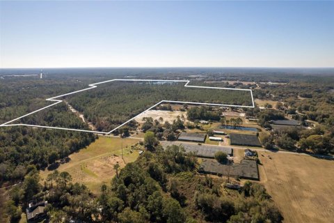 Land in Pierson, Florida № 2166496 - photo 2