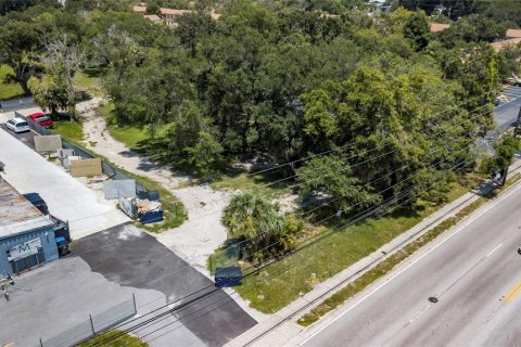 Land in Tampa, Florida № 2148035 - photo 6