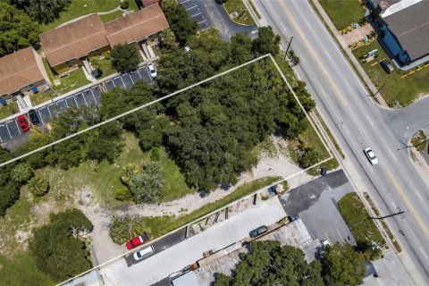 Land in Tampa, Florida № 2148035 - photo 5