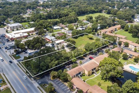 Land in Tampa, Florida № 2148035 - photo 3