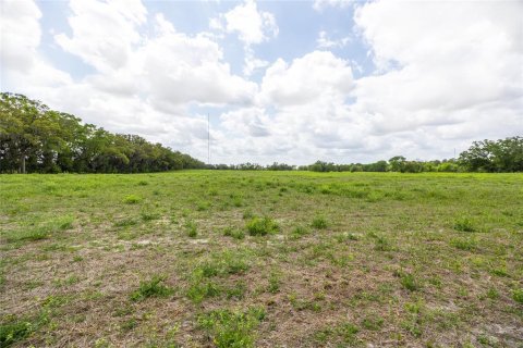 Terreno en venta en Newberry, Florida № 1609958 - foto 5