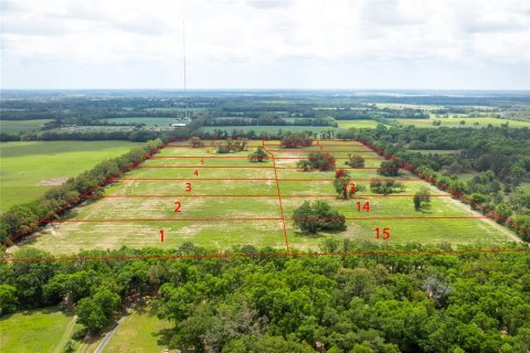 Terreno en venta en Newberry, Florida № 1609958 - foto 1