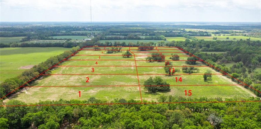 Terreno en Newberry, Florida № 1609958