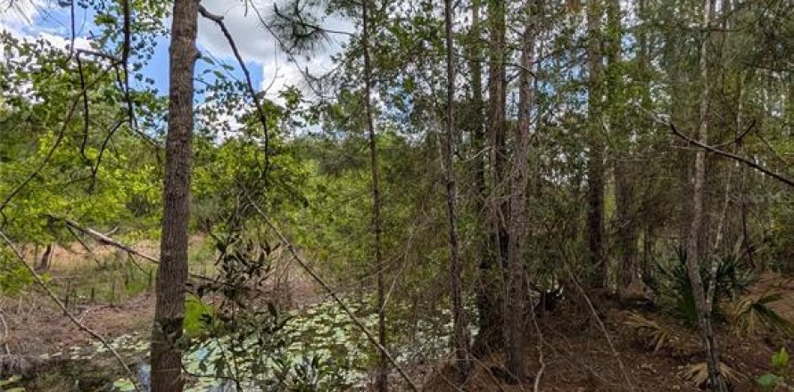 Land in Eustis, Florida № 2108168