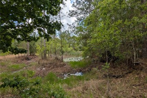 Land in Eustis, Florida № 2108168 - photo 23