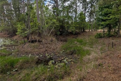 Land in Eustis, Florida № 2108168 - photo 24