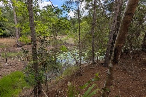 Land in Eustis, Florida № 2108168 - photo 4