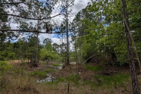 Land in Eustis, Florida № 2108168 - photo 3