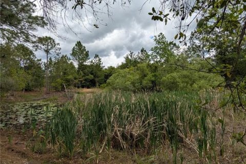 Land in Eustis, Florida № 2108168 - photo 17