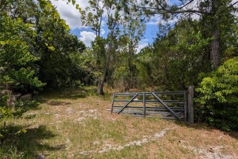 Land in Eustis, Florida № 2108168 - photo 29