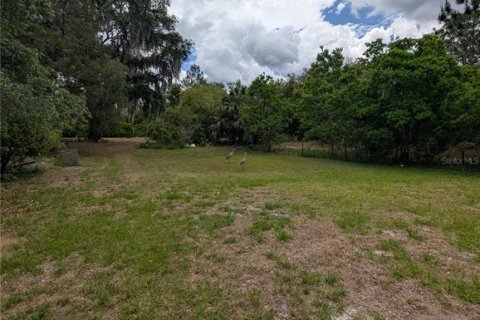 Land in Eustis, Florida № 2108168 - photo 14