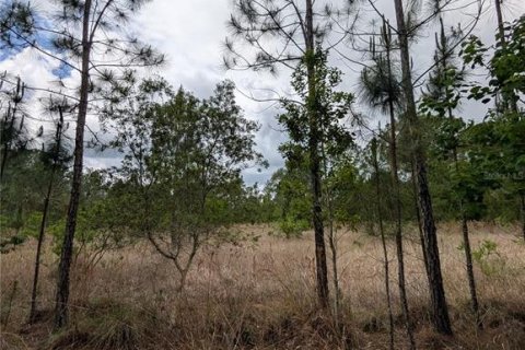 Land in Eustis, Florida № 2108168 - photo 19