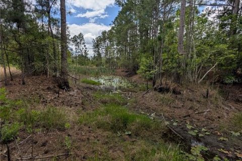 Land in Eustis, Florida № 2108168 - photo 13