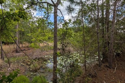 Land in Eustis, Florida № 2108168 - photo 16