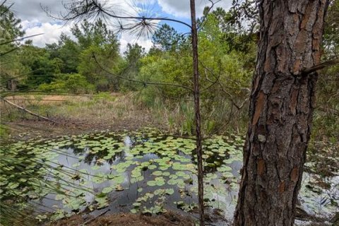 Land in Eustis, Florida № 2108168 - photo 15